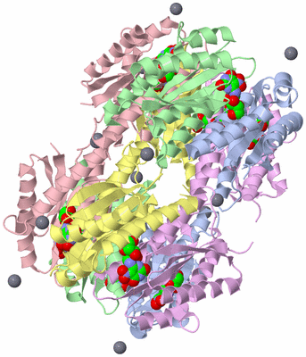 Image Biological Unit 2