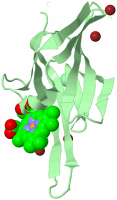 Image Biological Unit 2