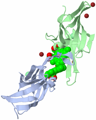 Image Biological Unit 3