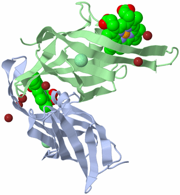 Image Biological Unit 4