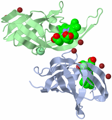 Image Biological Unit 5