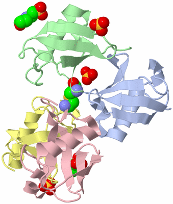 Image Biological Unit 1