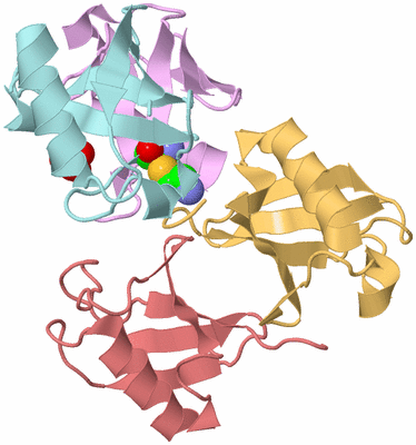 Image Biological Unit 2