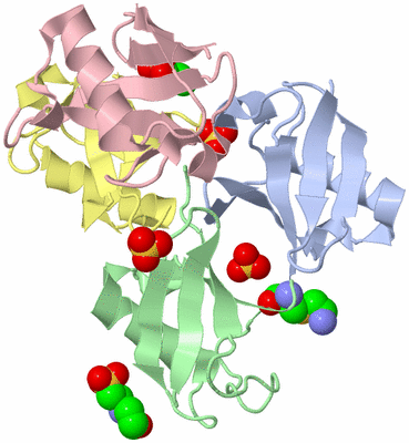 Image Biological Unit 3