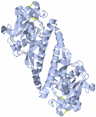 Image Biological Unit 1