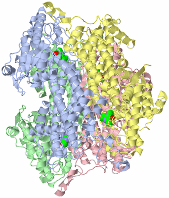 Image Biological Unit 1