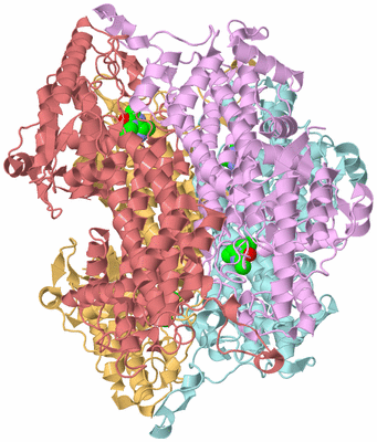 Image Biological Unit 2