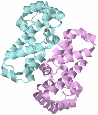 Image Biological Unit 3