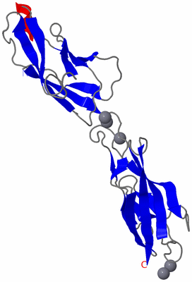 Image Asymmetric Unit