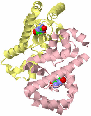 Image Biological Unit 2