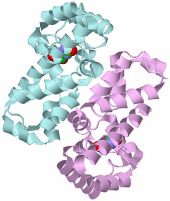 Image Biological Unit 3