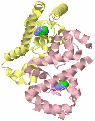 Image Biological Unit 2