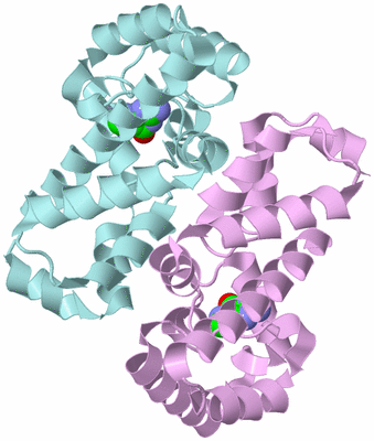 Image Biological Unit 3