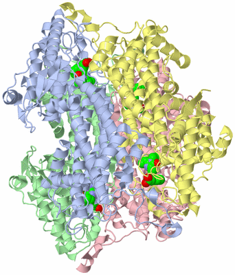 Image Biological Unit 1