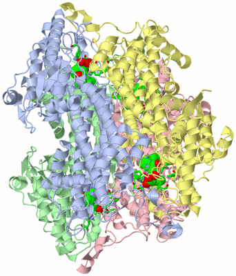 Image Biol. Unit 1 - sites