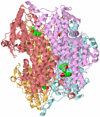 Image Biological Unit 2