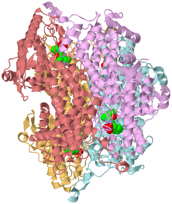 Image Biological Unit 2