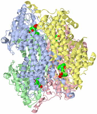 Image Biological Unit 1