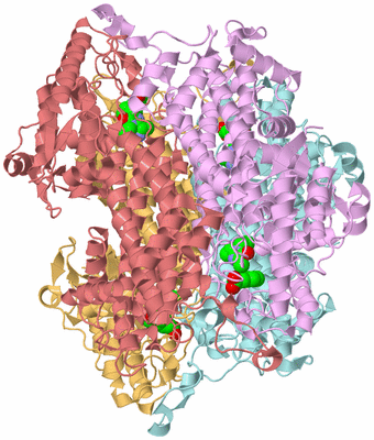 Image Biological Unit 2