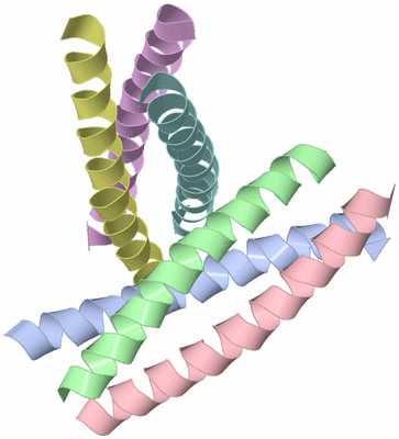 Image Asymmetric Unit