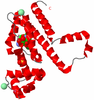 Image Asymmetric Unit