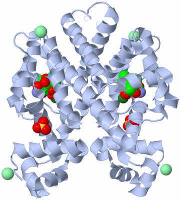 Image Biological Unit 1