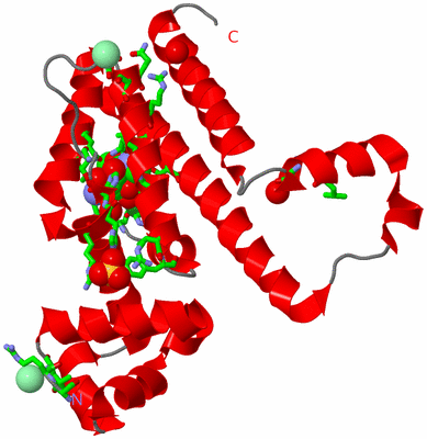 Image Asym. Unit - sites