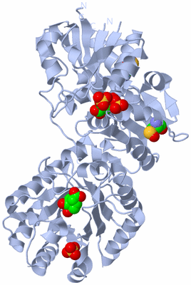 Image Biological Unit 1