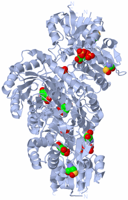 Image Biological Unit 2