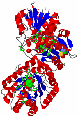 Image Asym. Unit - sites