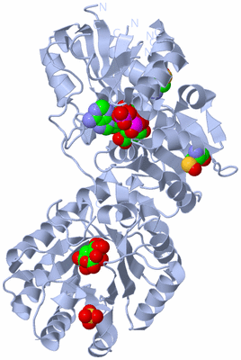 Image Biological Unit 1