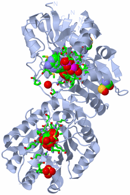 Image Biol. Unit 1 - sites