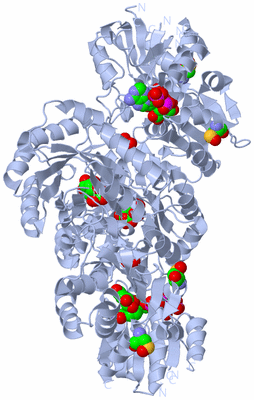 Image Biological Unit 2