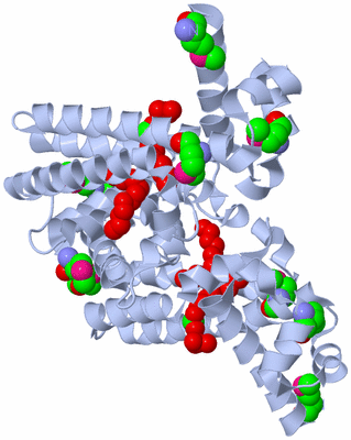 Image Biological Unit 1