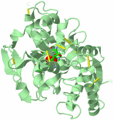 Image Biol. Unit 1 - sites