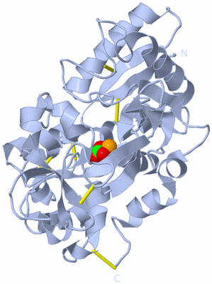 Image Biological Unit 2