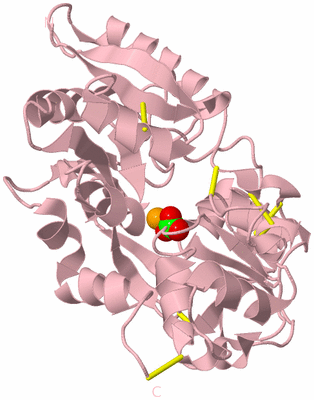 Image Biological Unit 3