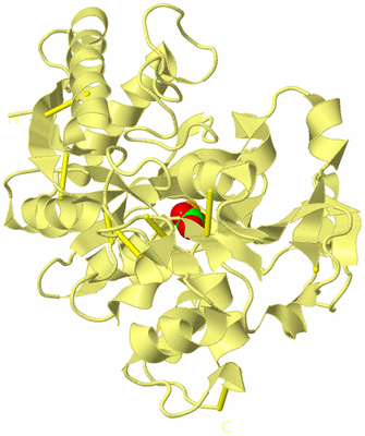 Image Biological Unit 4