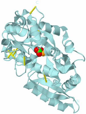 Image Biological Unit 6