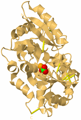 Image Biological Unit 7