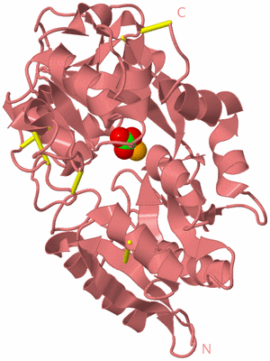 Image Biological Unit 8