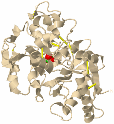 Image Biological Unit 9