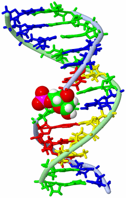 Image NMR Structure - model 1