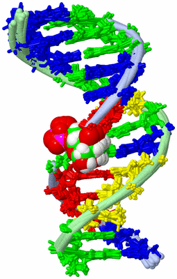 Image NMR Structure - all models