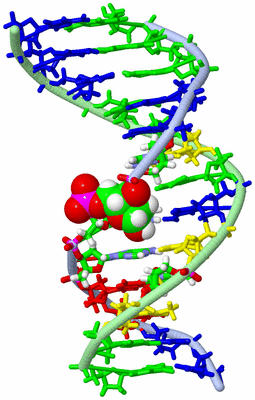 Image NMR Structure - model 1, sites