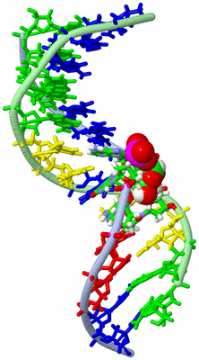 Image NMR Structure - model 1, sites