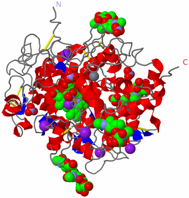 Image Asym./Biol. Unit