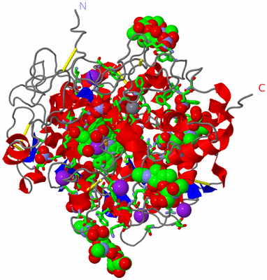 Image Asym./Biol. Unit - sites