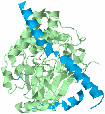 Image Biological Unit 2