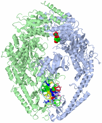 Image Asym./Biol. Unit